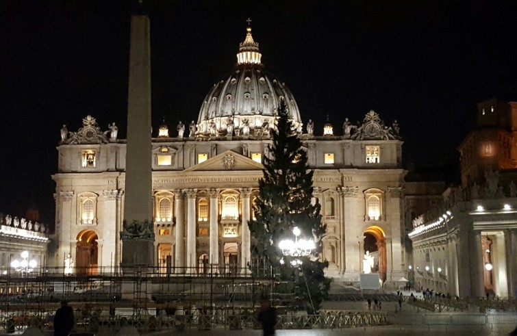 20161124_foto_piazzasanpietro_alberopefc2