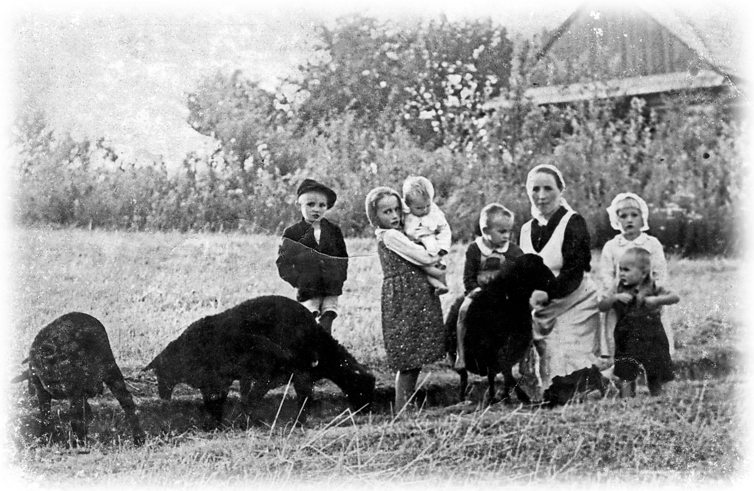 Martiri: il 10 settembre la beatificazione della famiglia polacca Ulma. Un  libro ne racconta la storia - AgenSIR