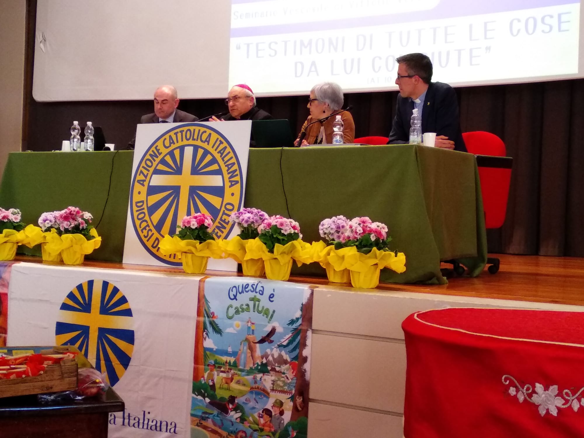 Diocesi Vittorio Veneto l Azione Cattolica ha rinnovato il